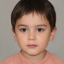 Neutral white child male with short  brown hair and brown eyes