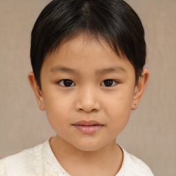 Joyful white child female with short  brown hair and brown eyes