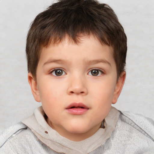 Neutral white child male with short  brown hair and brown eyes