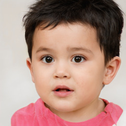 Neutral white child male with short  brown hair and brown eyes