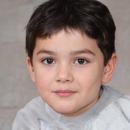 Joyful white child male with short  brown hair and brown eyes