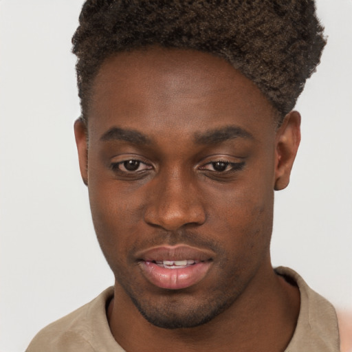 Joyful black young-adult male with short  brown hair and brown eyes