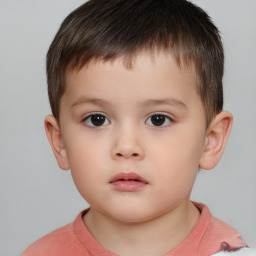 Neutral white child male with short  brown hair and brown eyes