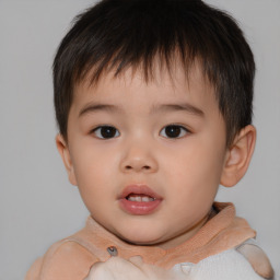 Neutral white child male with short  brown hair and brown eyes