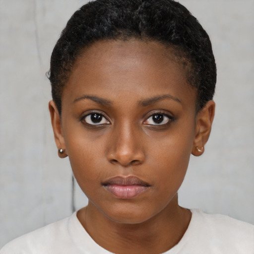 Neutral black young-adult female with short  brown hair and brown eyes