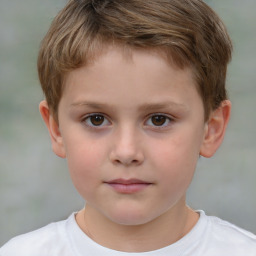 Neutral white child male with short  brown hair and brown eyes