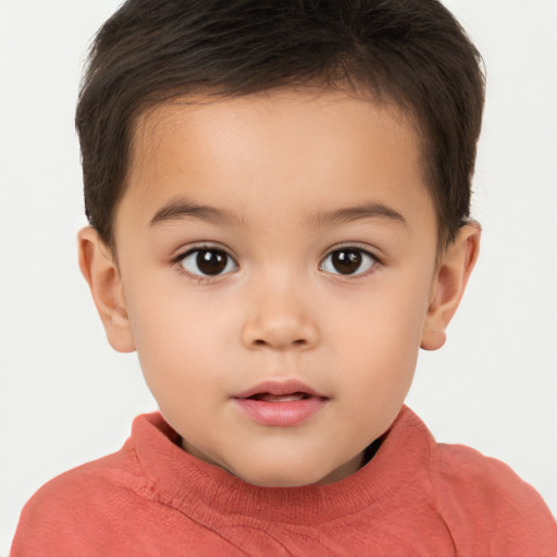 Neutral white child male with short  brown hair and brown eyes