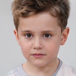 Neutral white child male with short  brown hair and brown eyes