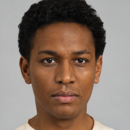 Neutral black young-adult male with short  black hair and brown eyes