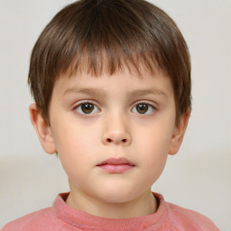 Neutral white child male with short  brown hair and brown eyes