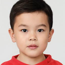 Neutral white child male with short  brown hair and brown eyes