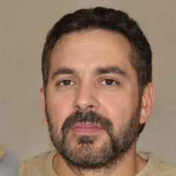 Neutral white adult male with short  brown hair and brown eyes