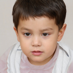 Neutral white child male with short  brown hair and brown eyes