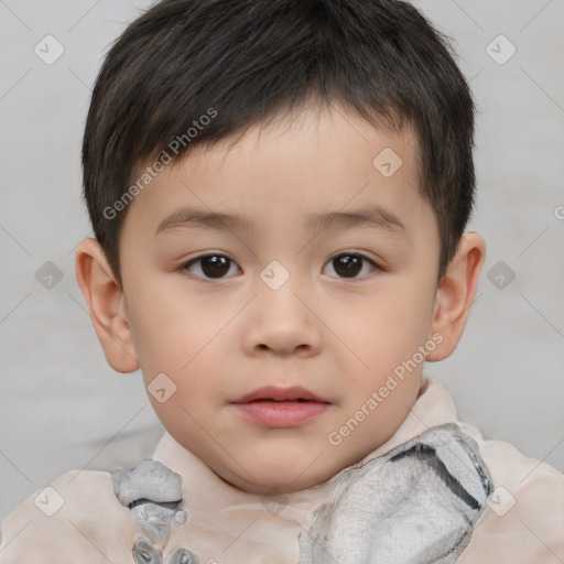 Neutral white child male with short  brown hair and brown eyes