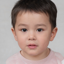 Neutral white child male with short  brown hair and brown eyes