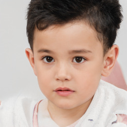 Neutral white child male with short  brown hair and brown eyes
