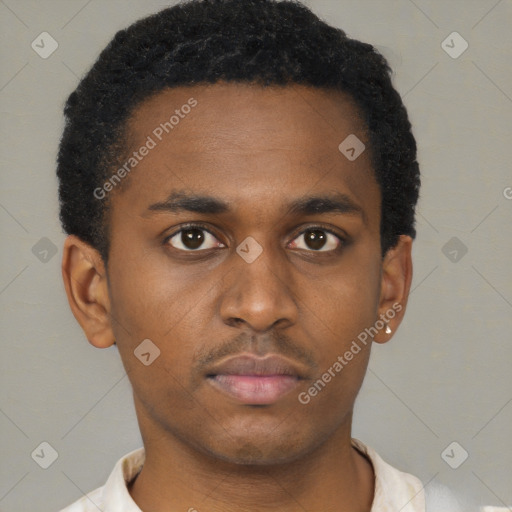 Neutral black young-adult male with short  brown hair and brown eyes
