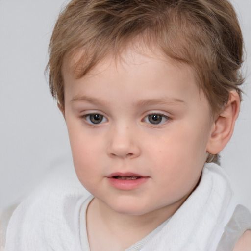 Neutral white child male with short  brown hair and brown eyes