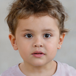 Neutral white child male with short  brown hair and brown eyes