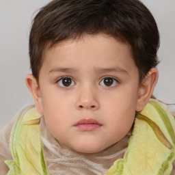 Neutral white child male with short  brown hair and brown eyes