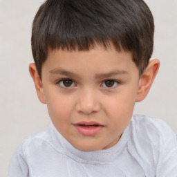 Neutral white child male with short  brown hair and brown eyes