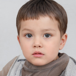 Neutral white child male with short  brown hair and brown eyes