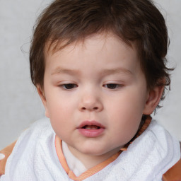 Neutral white child male with short  brown hair and brown eyes