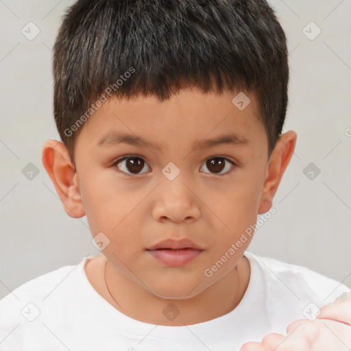 Neutral white child male with short  brown hair and brown eyes