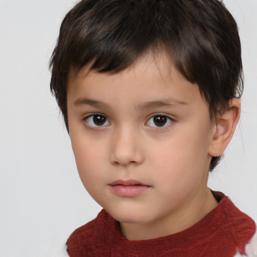 Neutral white child male with short  brown hair and brown eyes