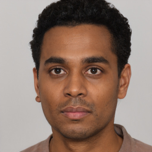 Neutral black young-adult male with short  black hair and brown eyes