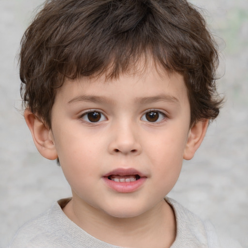 Neutral white child male with short  brown hair and brown eyes