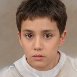 Neutral white child male with short  brown hair and brown eyes