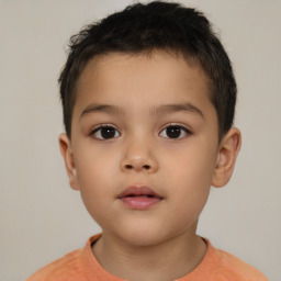 Neutral white child male with short  brown hair and brown eyes