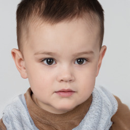 Neutral white child male with short  brown hair and brown eyes