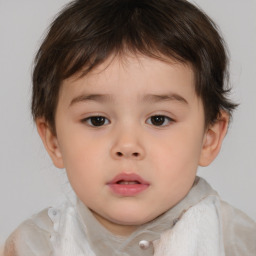 Neutral white child male with short  brown hair and brown eyes