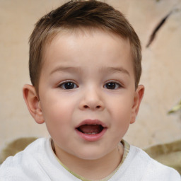 Joyful white child male with short  brown hair and brown eyes