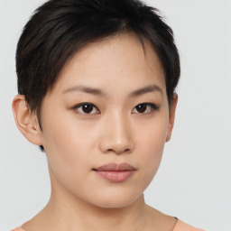 Neutral asian young-adult female with short  brown hair and brown eyes