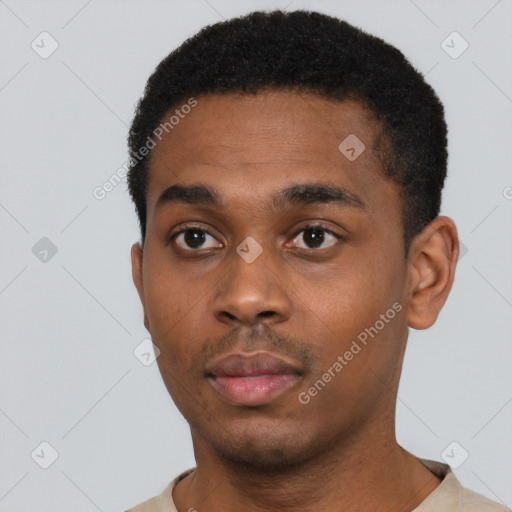 Neutral black young-adult male with short  black hair and brown eyes