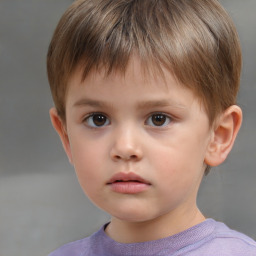 Neutral white child male with short  brown hair and brown eyes