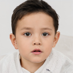 Neutral white child male with short  brown hair and brown eyes