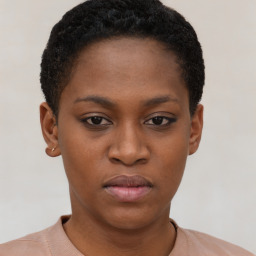 Neutral black young-adult female with short  brown hair and brown eyes