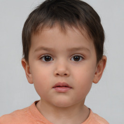 Neutral white child male with short  brown hair and brown eyes