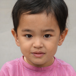 Joyful white child male with short  brown hair and brown eyes