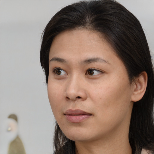 Neutral asian young-adult female with long  brown hair and brown eyes