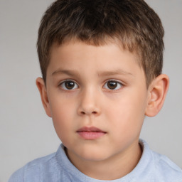 Neutral white child male with short  brown hair and brown eyes