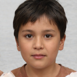 Neutral white child male with short  brown hair and brown eyes