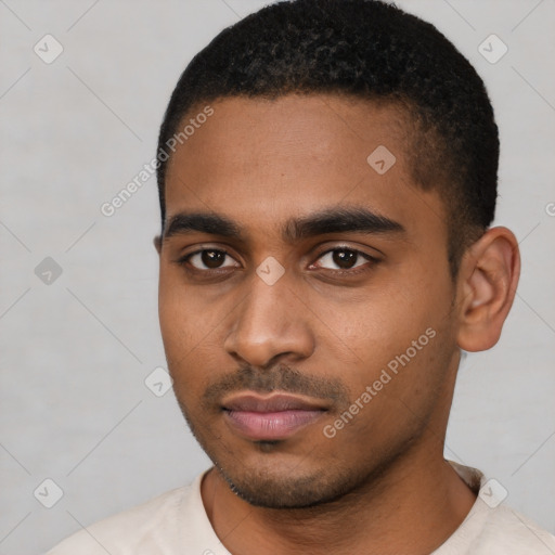 Neutral black young-adult male with short  black hair and brown eyes