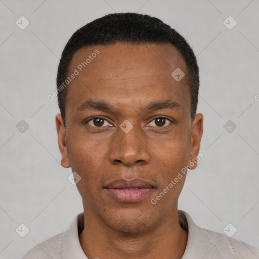 Neutral black young-adult male with short  black hair and brown eyes