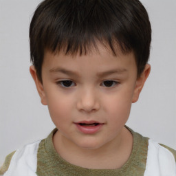 Neutral white child male with short  brown hair and brown eyes