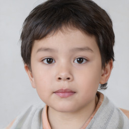 Neutral white child male with short  brown hair and brown eyes